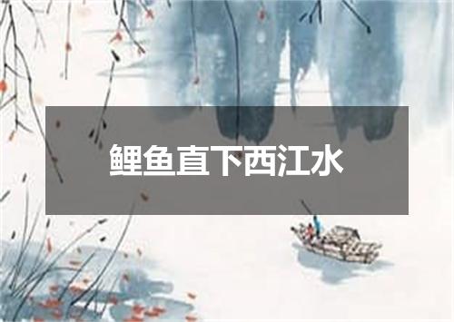鲤鱼直下西江水