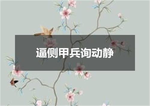 逼侧甲兵询动静
