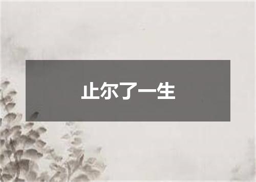 止尔了一生
