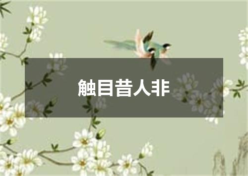 触目昔人非