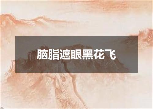 脑脂遮眼黑花飞