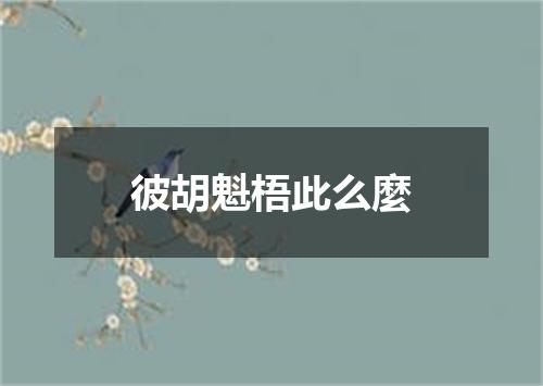 彼胡魁梧此么麼