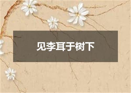 见李耳于树下