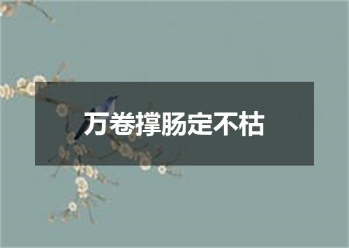 万卷撑肠定不枯