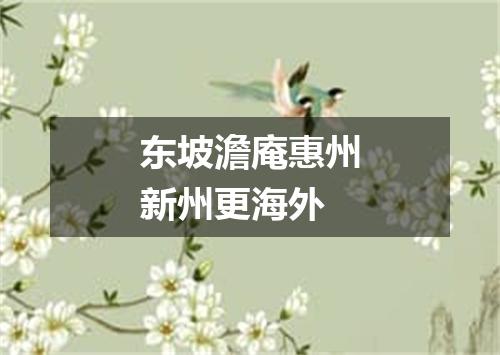 东坡澹庵惠州新州更海外