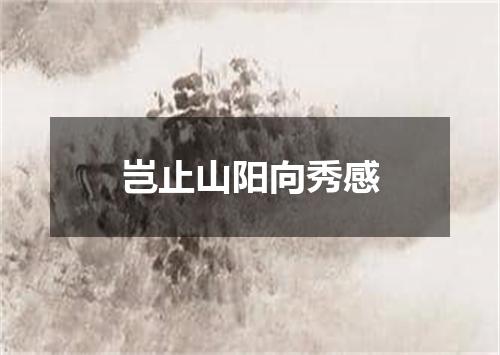 岂止山阳向秀感
