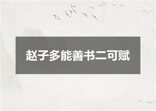 赵子多能善书二可赋