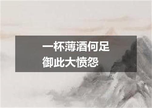 一杯薄酒何足御此大愤怨