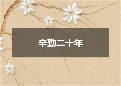 辛勤二十年
