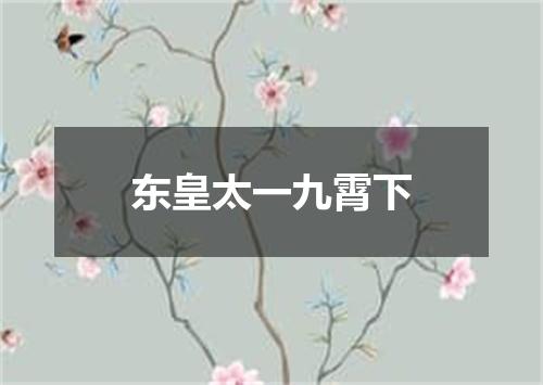 东皇太一九霄下