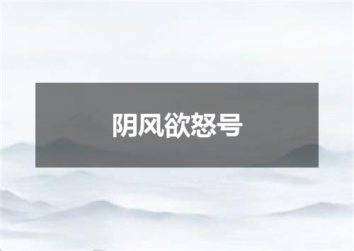 阴风欲怒号