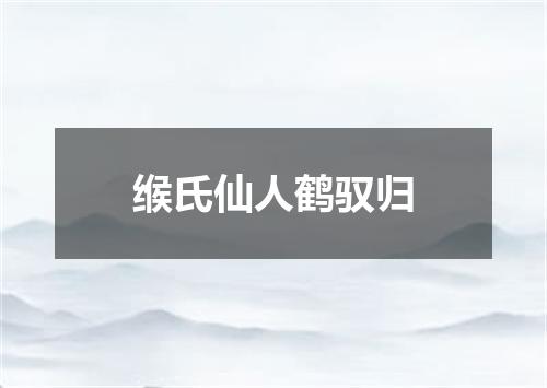 缑氏仙人鹤驭归