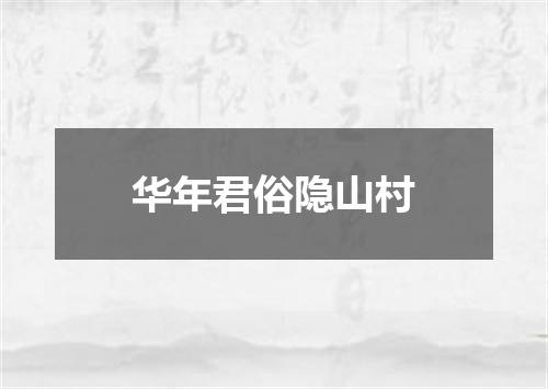 华年君俗隐山村