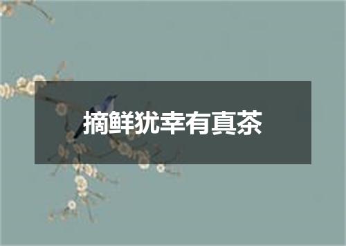 摘鲜犹幸有真茶