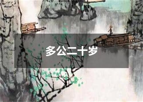 多公二十岁