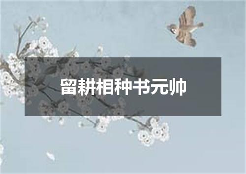 留耕相种书元帅