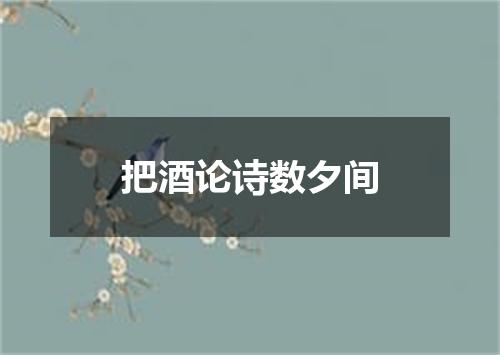 把酒论诗数夕间