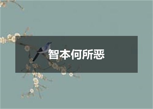 智本何所恶