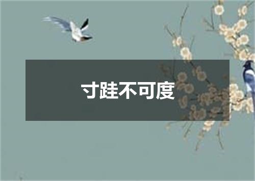 寸跬不可度