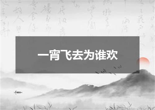 一宵飞去为谁欢