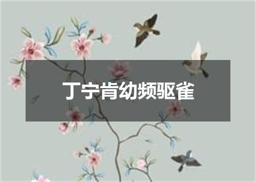 丁宁肯幼频驱雀