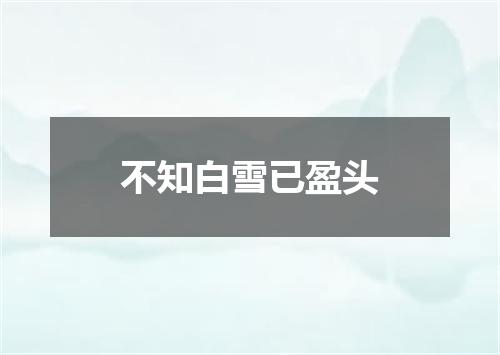 不知白雪已盈头