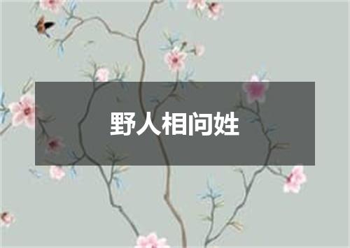 野人相问姓