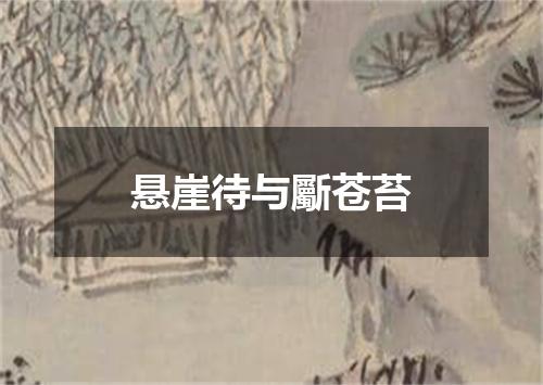悬崖待与斸苍苔