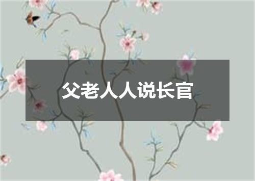 父老人人说长官