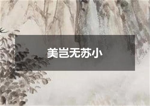美岂无苏小