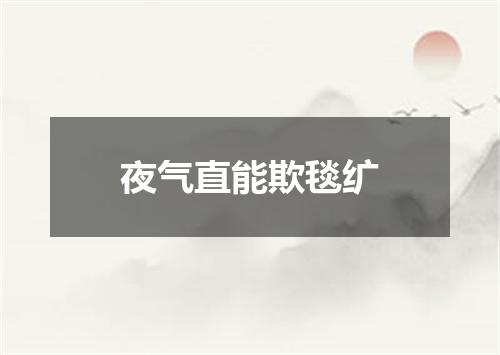 夜气直能欺毯纩