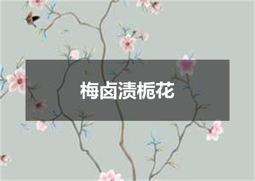 梅卤渍栀花