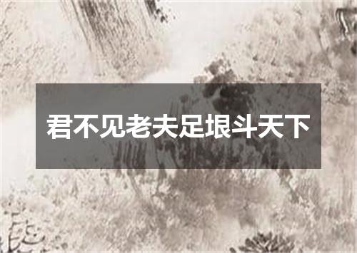 君不见老夫足垠斗天下