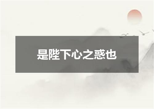是陛下心之惑也