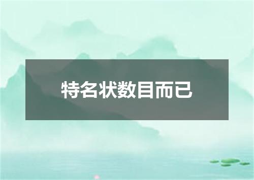 特名状数目而已