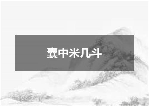 囊中米几斗