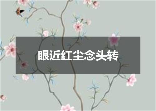 眼近红尘念头转