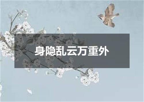 身隐乱云万重外