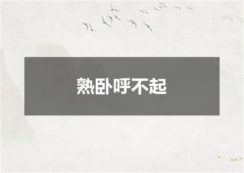 熟卧呼不起