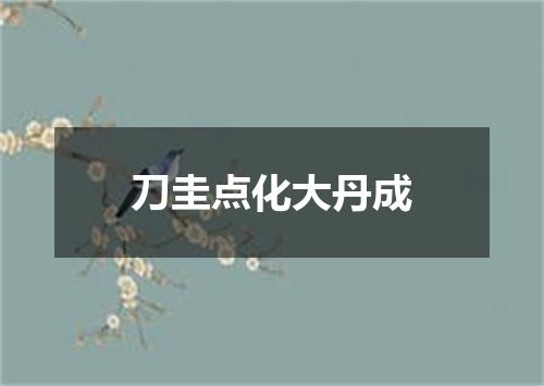 刀圭点化大丹成