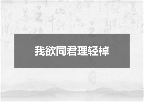 我欲同君理轻棹