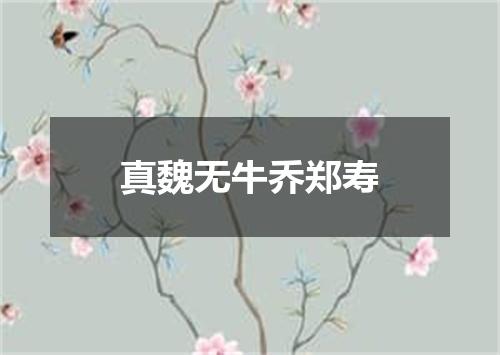 真魏无牛乔郑寿