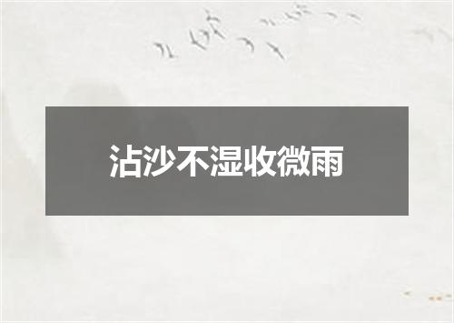 沾沙不湿收微雨