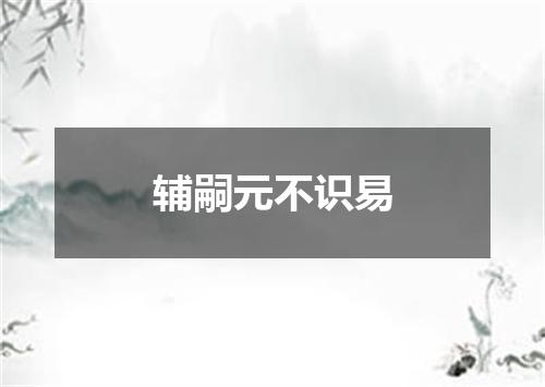 辅嗣元不识易
