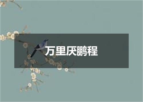 万里厌鹏程