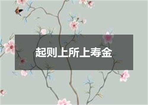 起则上所上寿金