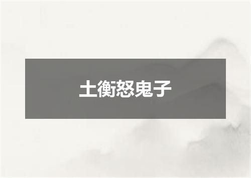 土衡怒鬼子