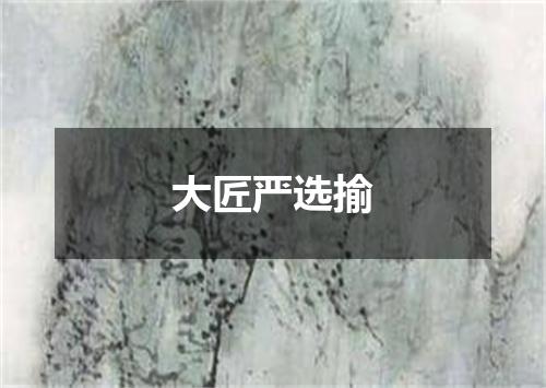 大匠严选揄