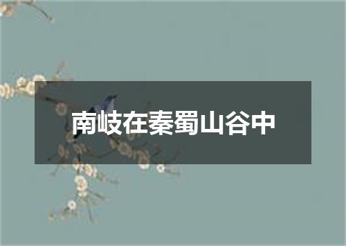 南岐在秦蜀山谷中
