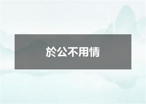 於公不用情